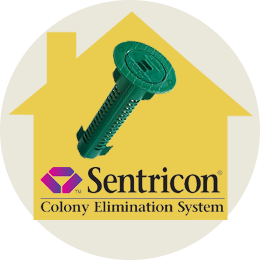 home_plumber_offer1-1 home_plumber_offer1-1